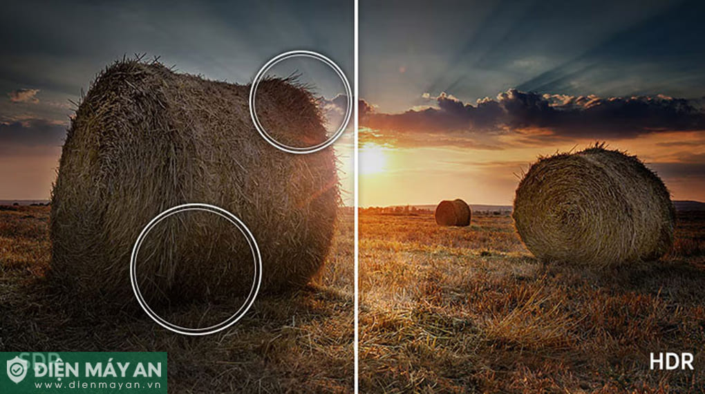 Smart Tivi QLED Samsung AI 4K 65 Inch QA65Q7F5 (65Q7F5)